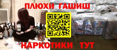индика Дубна
