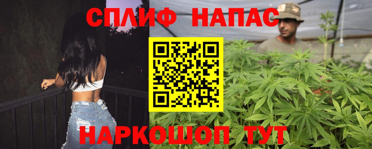 Благодарный  Бошки Шишки тримм  Вход с VPN  Шишки марихуана планчик 